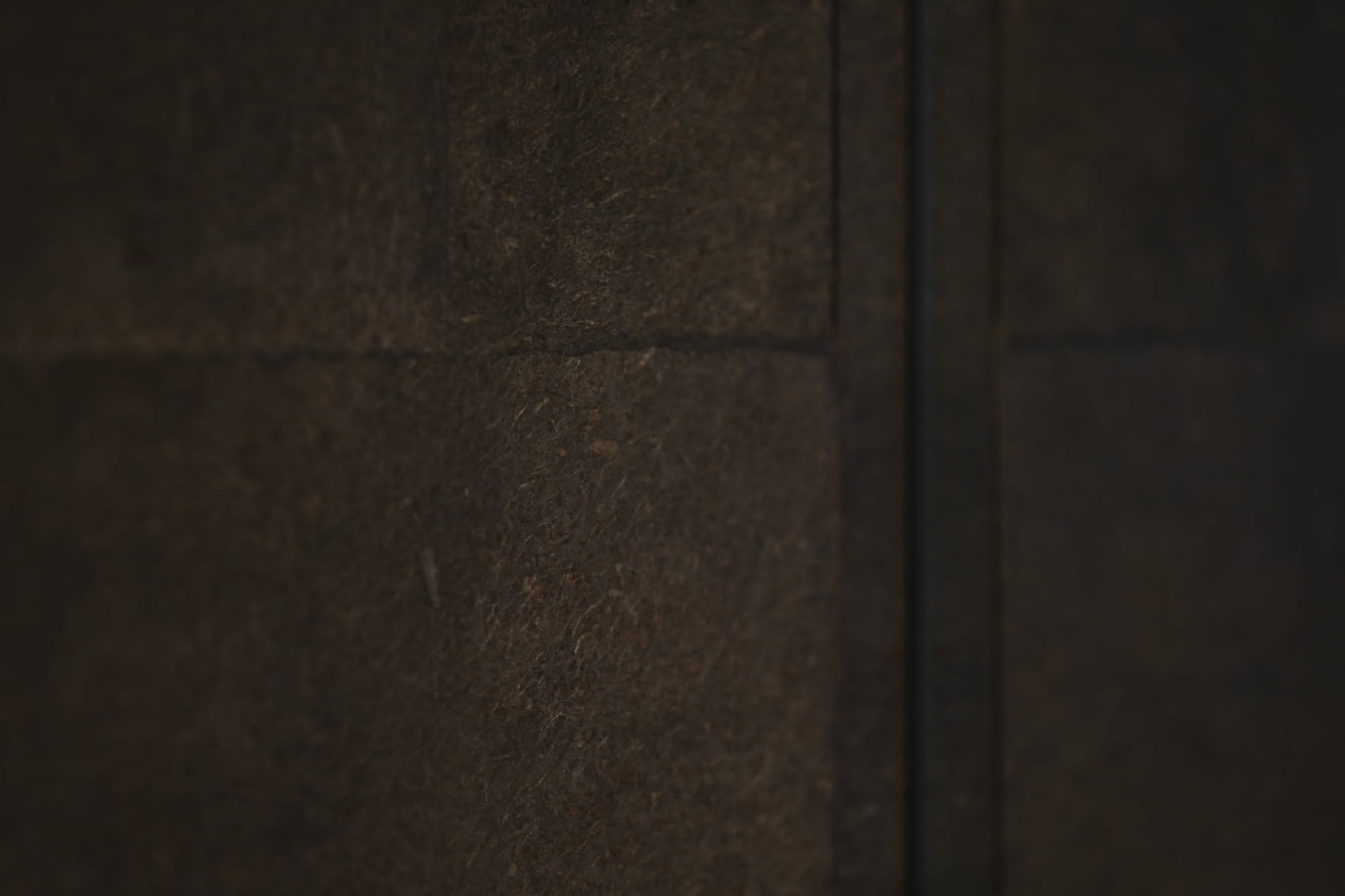 TSUTO Sushi Izumi 05